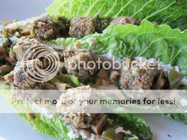  photo FAlafulll.jpg