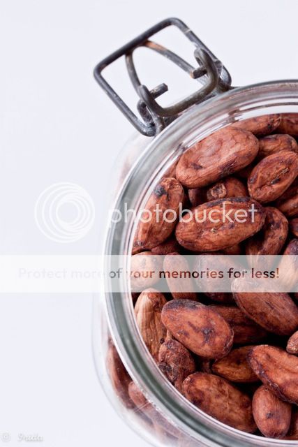 photo cacao2_zps9d2ab36c.jpeg